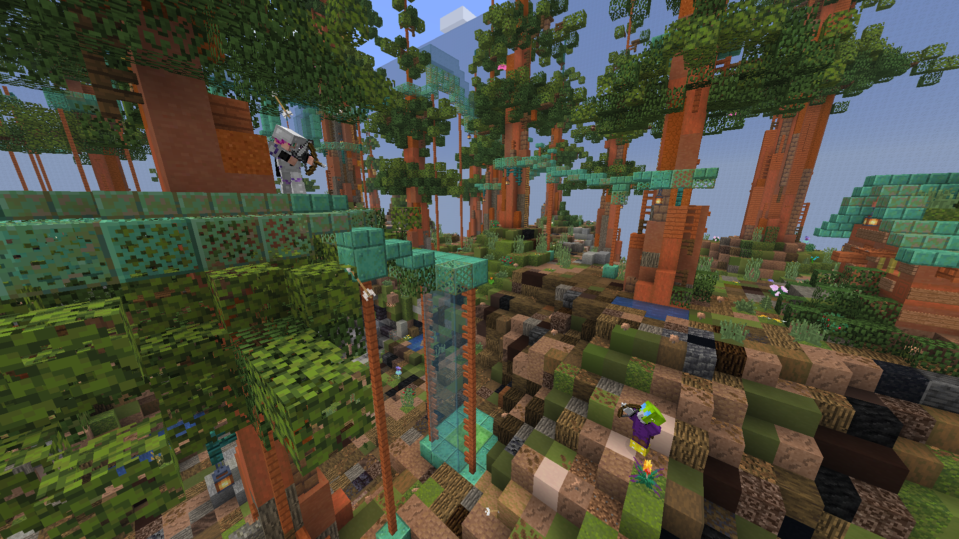 Treetop battle (Redwood Park)